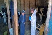 ارومیه : مراقبت فعال و پایش های میدانی بیماری تب برفکی درسطح روستاهای شهرستان